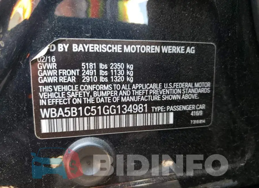 WBA5B1C51GG134981 Photo# 12