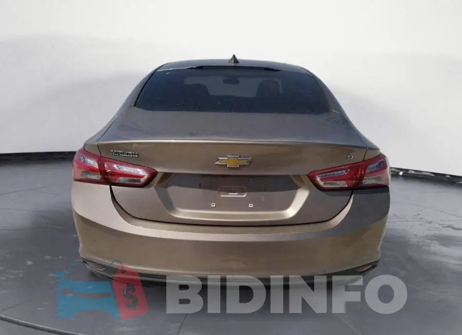 1G1ZD5ST0KF109244 Photo# 6