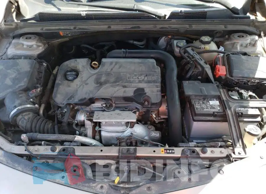 1G1ZD5ST0KF109244 Photo# 11