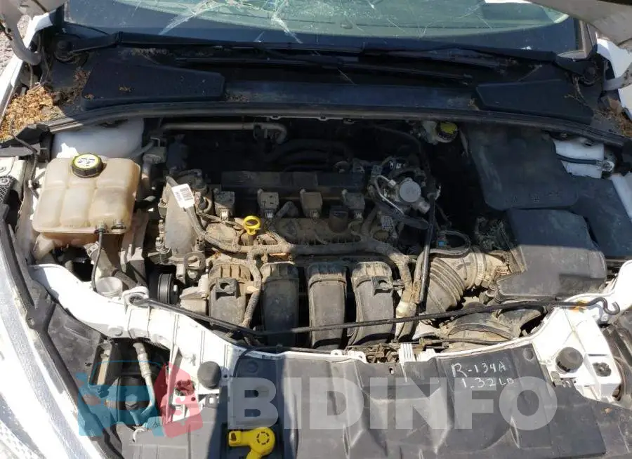 1FADP3E22GL403744 Photo# 11