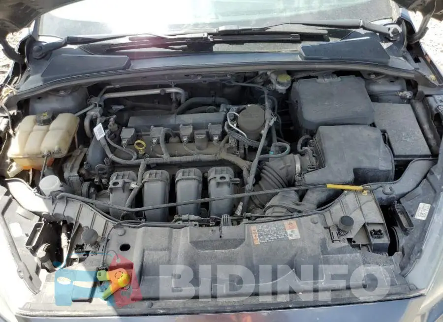1FADP3K21FL380248 Photo# 11