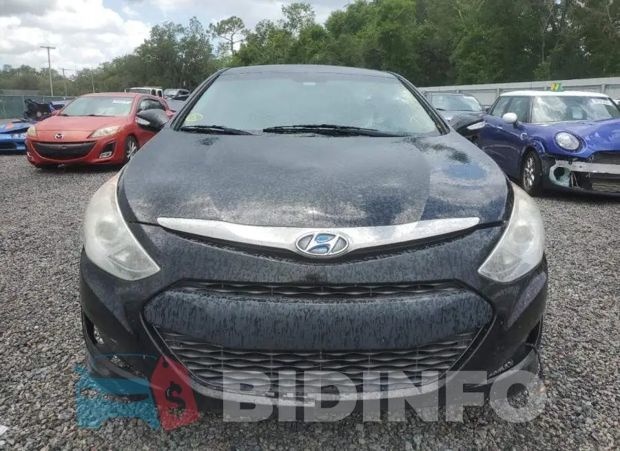 KMHEC4A42FA125201 Photo# 5