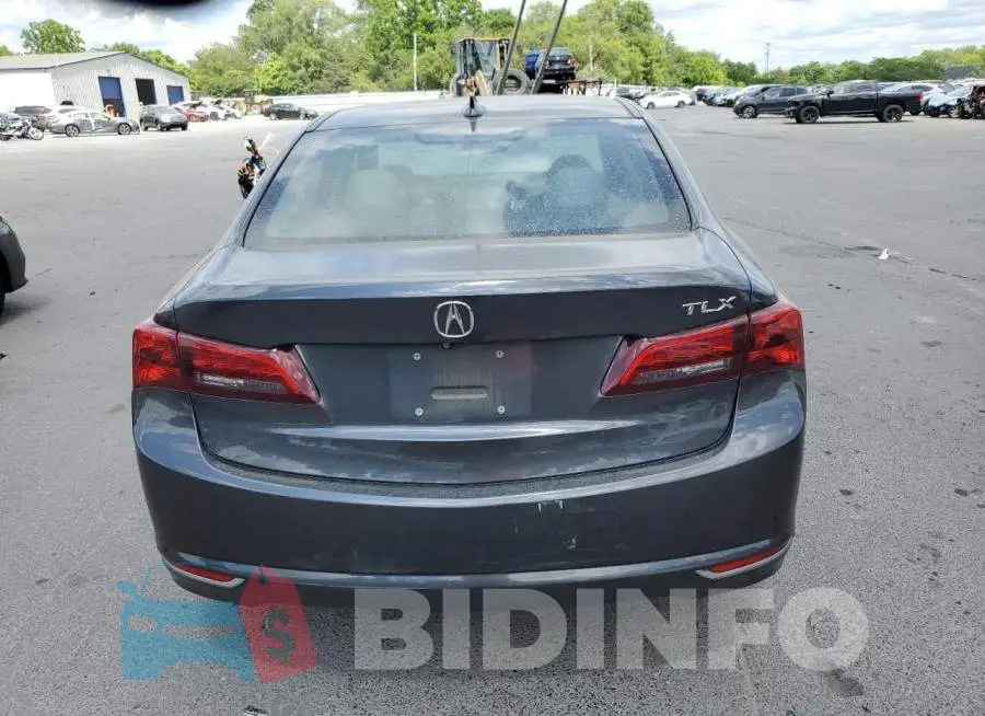 19UUB1F31FA015890 Photo# 6