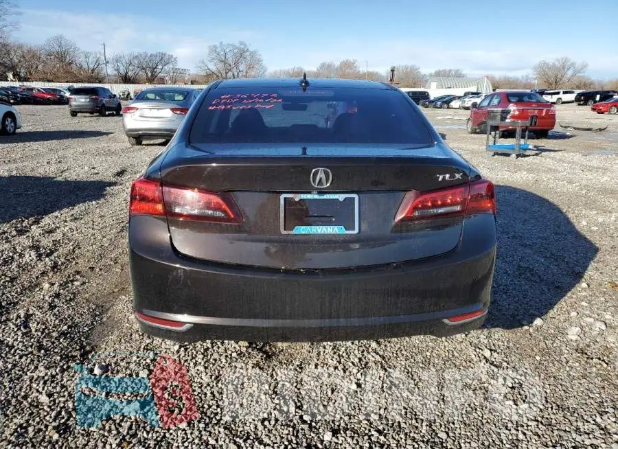 19UUB1F50FA020662 Photo# 6