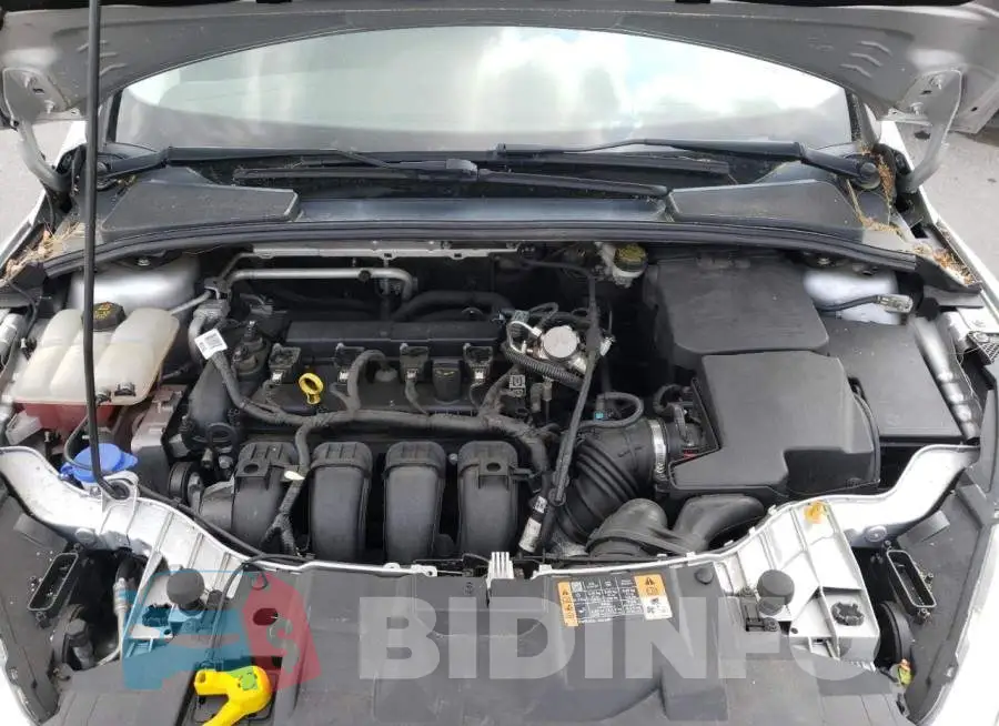 1FADP3E24GL224329 Photo# 11