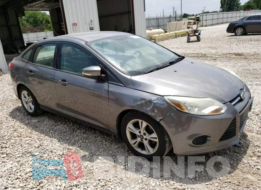 1FADP3F20EL431229 Photo# 4