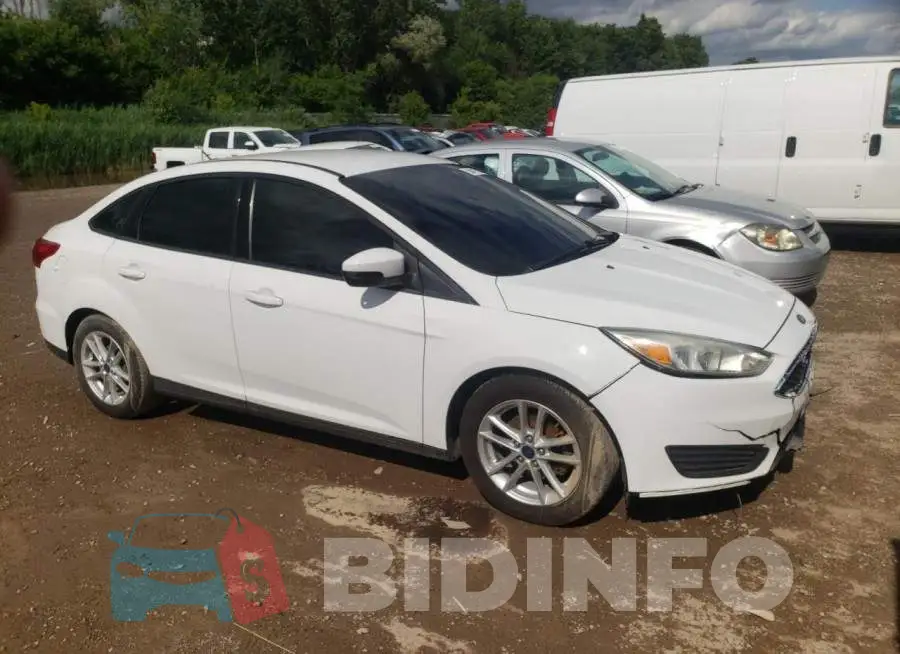 1FADP3F24GL336353 Photo# 4