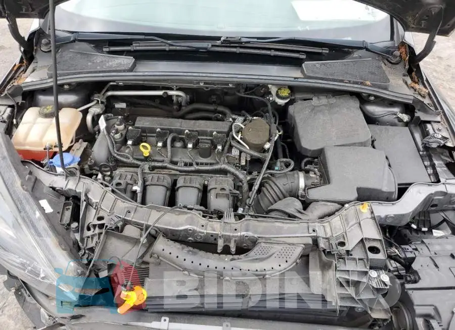 1FADP3K25GL206071 Photo# 11
