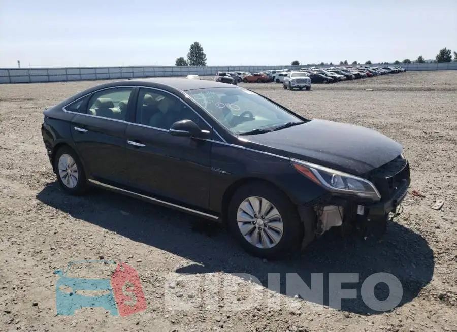KMHE24L19GA014832 Photo# 4