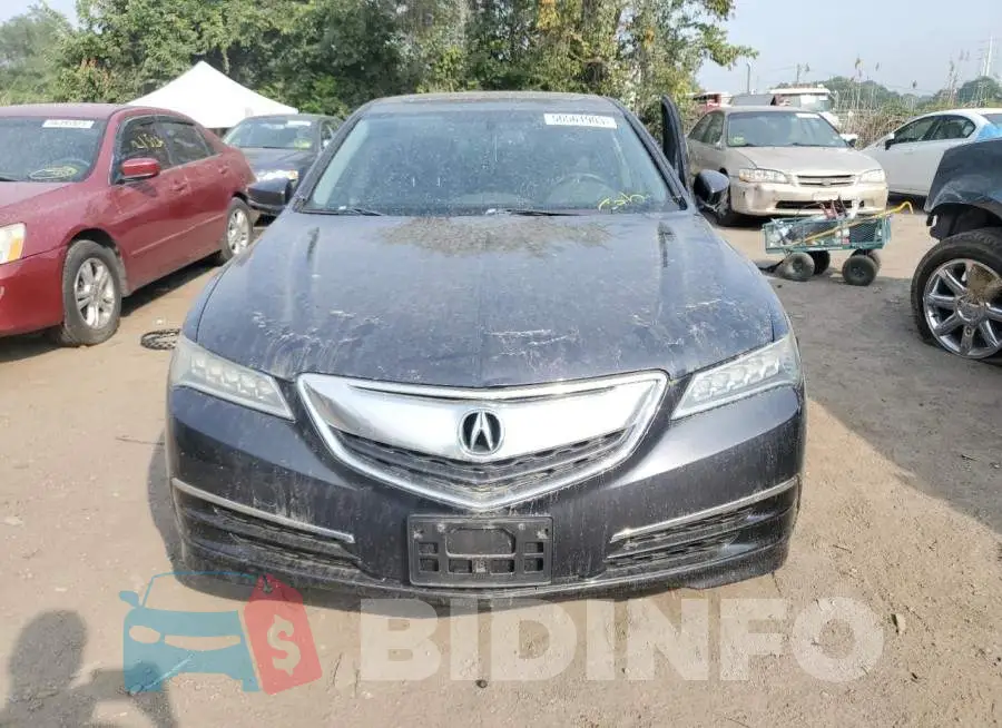 19UUB1F32GA000879 Photo# 5