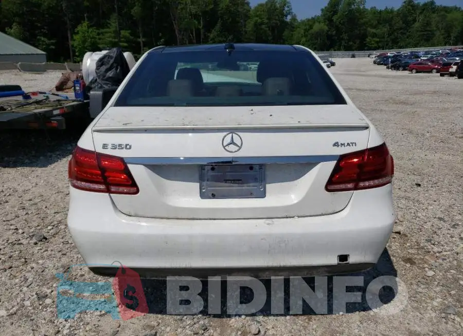 WDDHF8JB9EB048209 Photo# 6