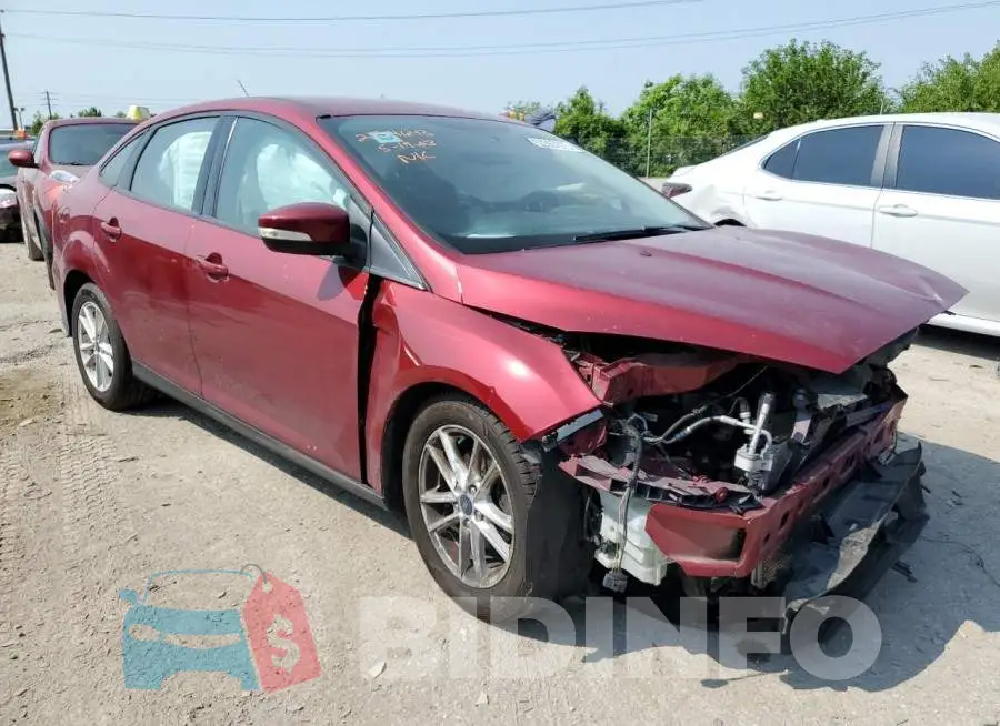 1FADP3F24GL359549 Photo# 4