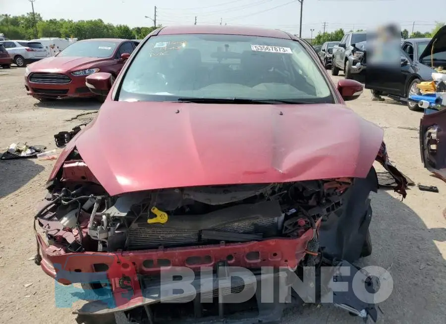 1FADP3F24GL359549 Photo# 5