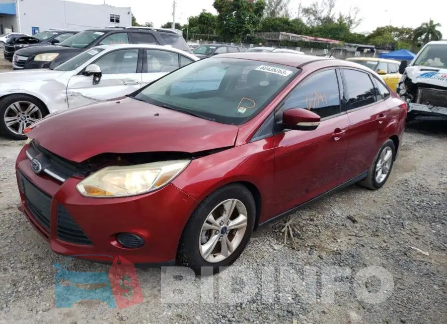 1FADP3F26EL388788 Photo# 1