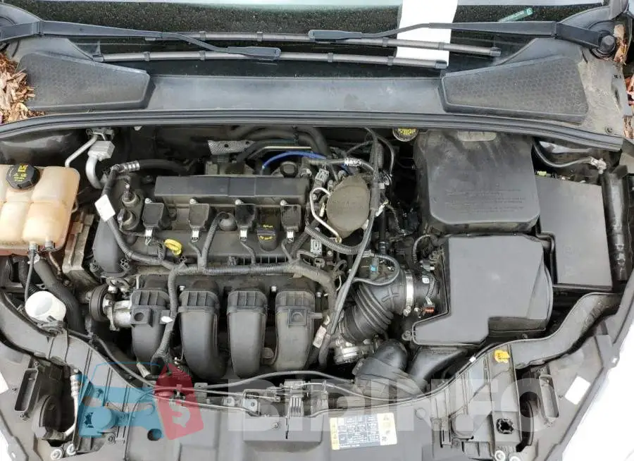 1FADP3F28FL257069 Photo# 11