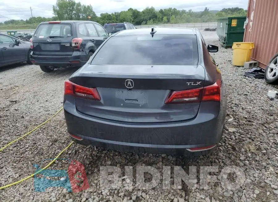 19UUB1F31FA013413 Photo# 6