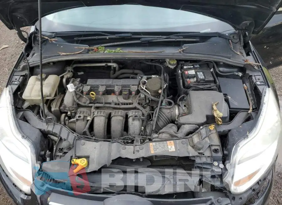 1FADP3F24EL388644 Photo# 11