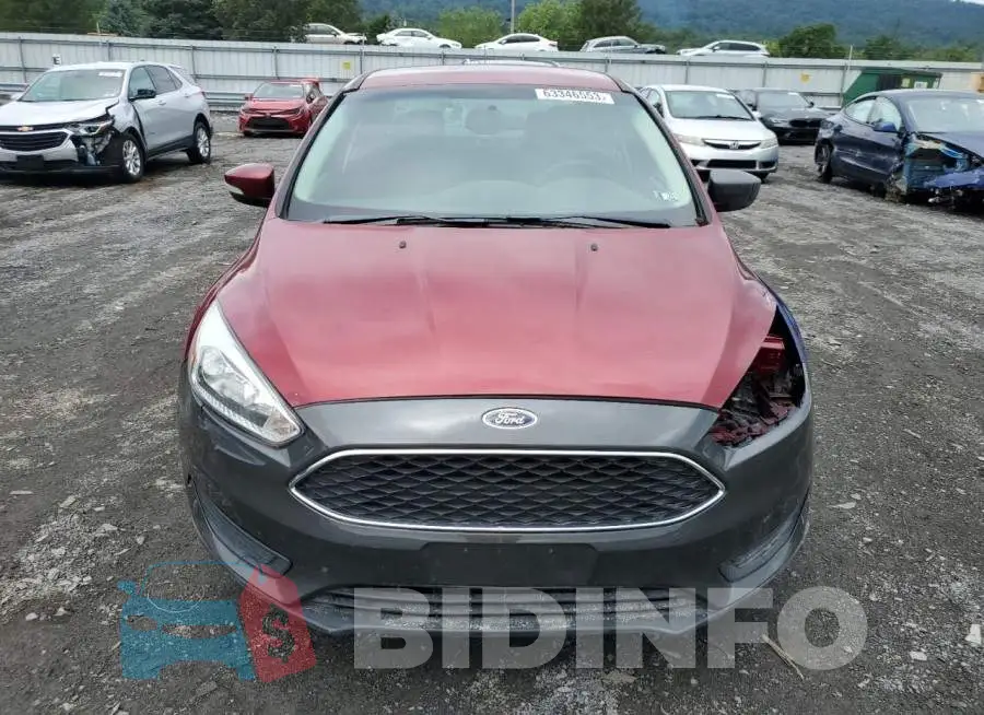 1FADP3F24GL251450 Photo# 5