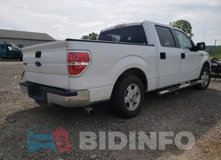1FTFW1CT8EFB50446 Photo# 3