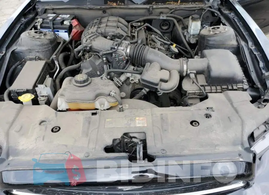 1ZVBP8AMXE5325573 Photo# 11