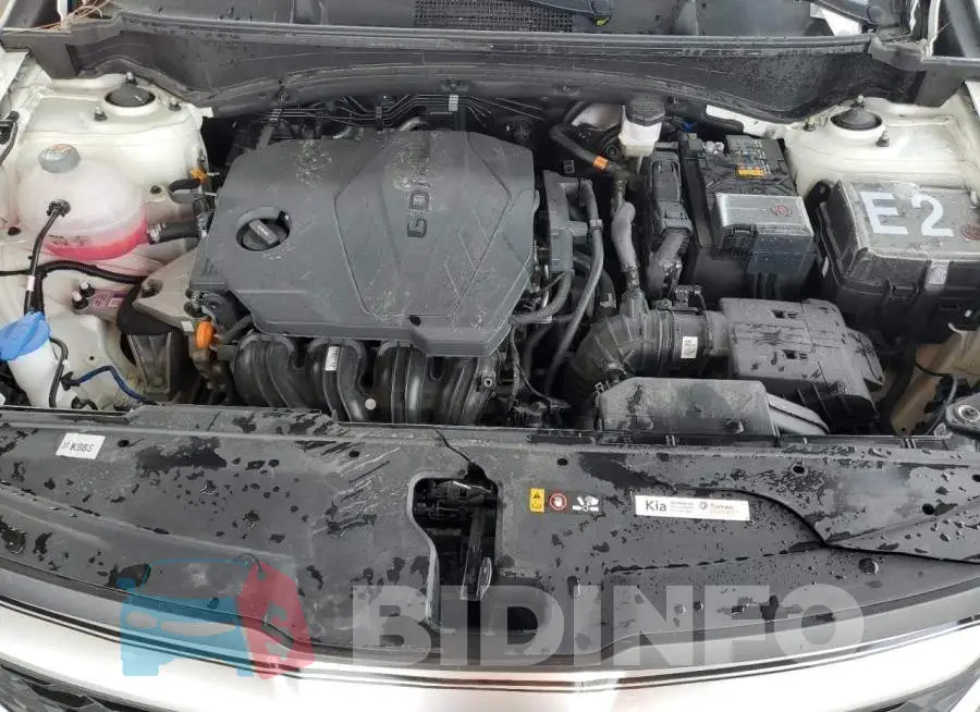KNDPU3AF9P7035113 Photo# 12