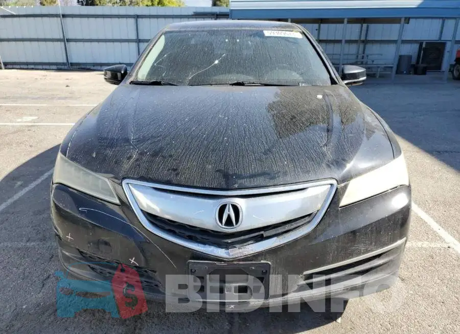 19UUB1F30FA020529 Photo# 5