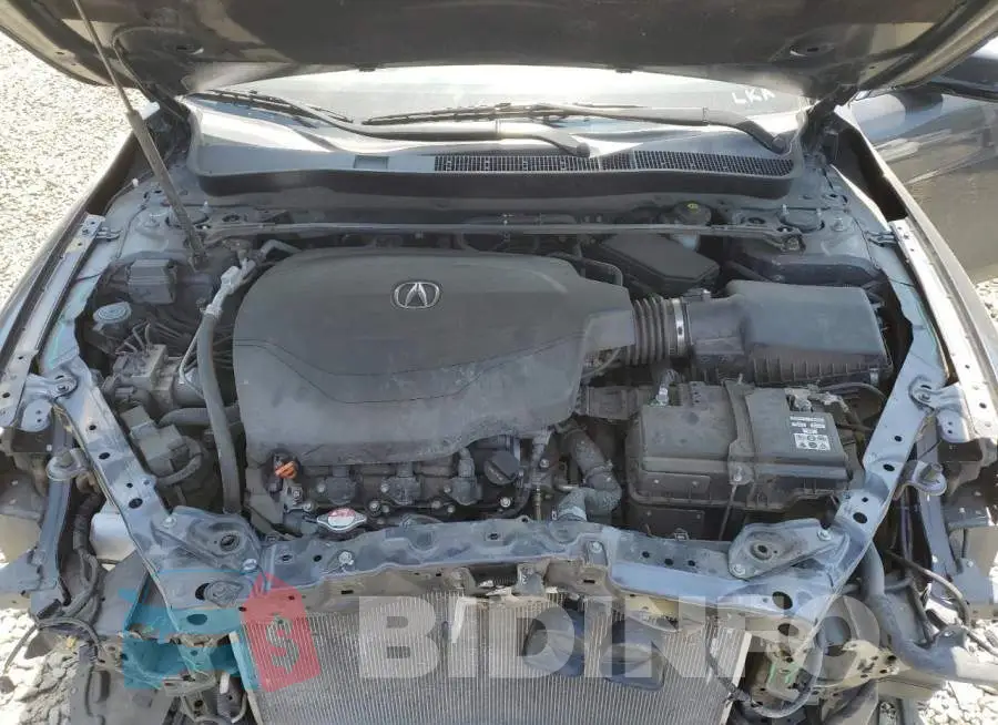 19UUB2F56FA020266 Photo# 11