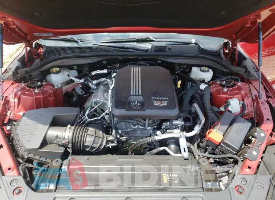 1G6DN5RK2L0135136 Photo# 11