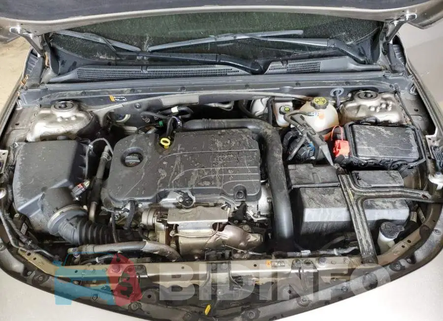 1G1ZD5ST6NF159134 Photo# 11