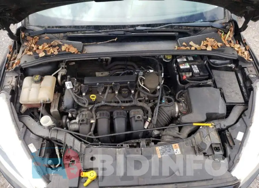 1FADP3F24FL209391 Photo# 11