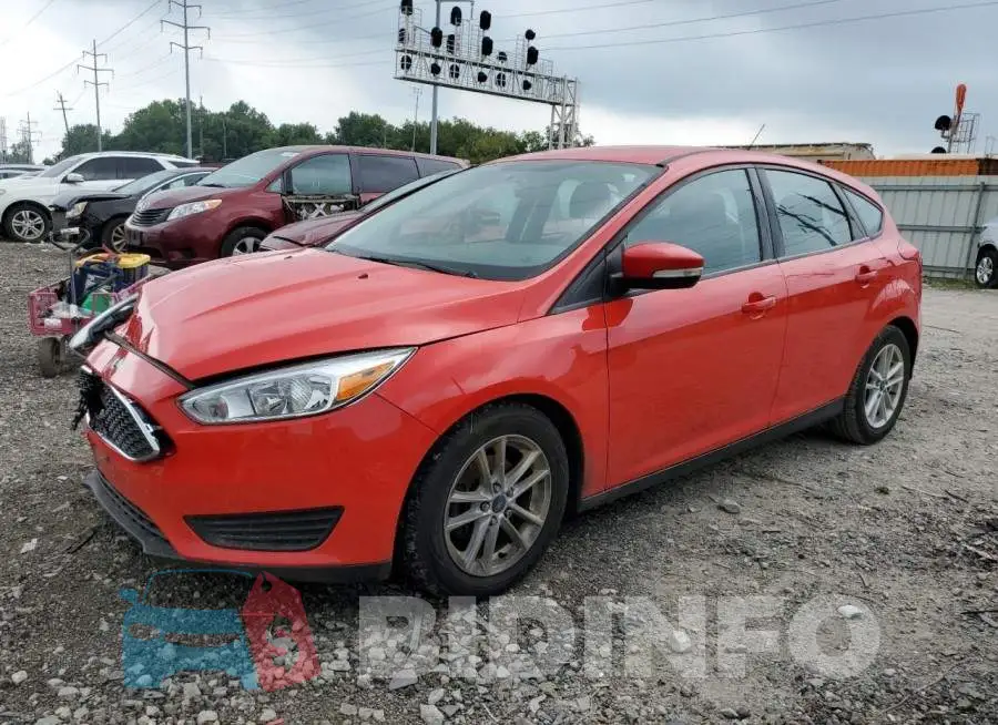 1FADP3K24FL363167 Photo# 1