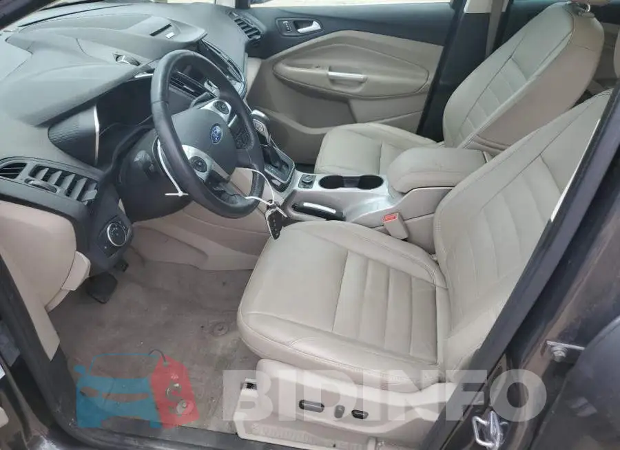 1FADP5CU6GL110171 Photo# 7