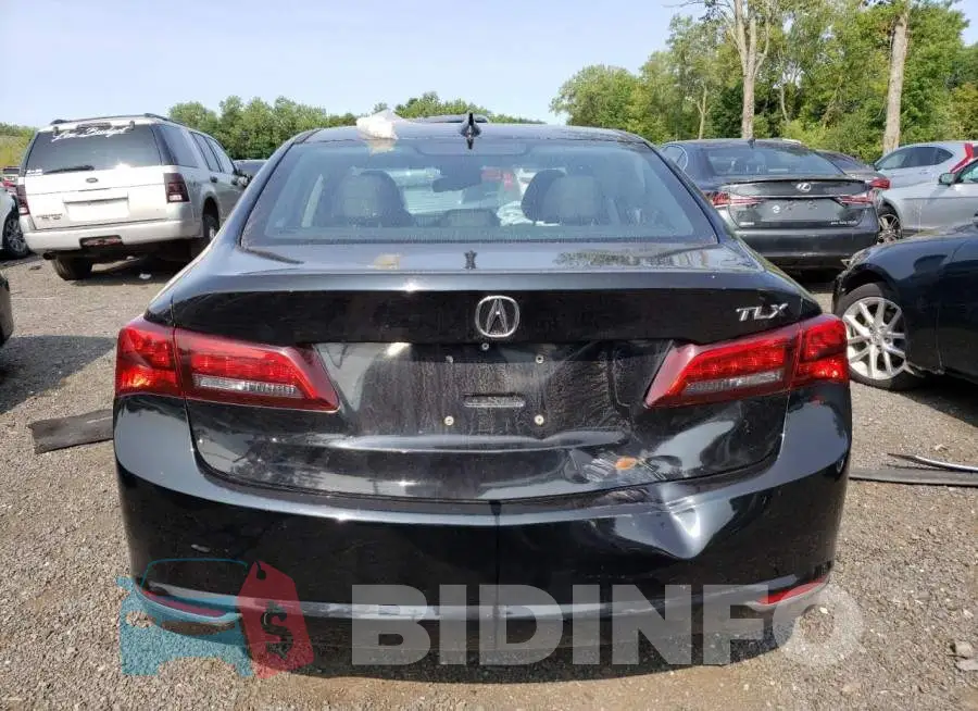 19UUB1F30FA003858 Photo# 6