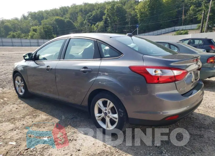 1FADP3F29EL411562 Photo# 2