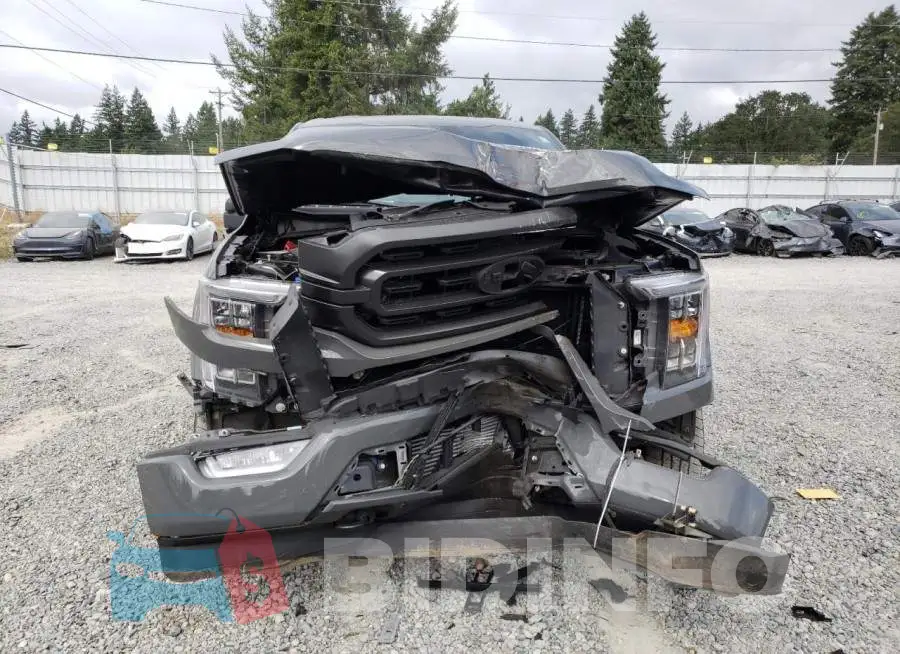 1FTFW1E83MFC81307 Photo# 5