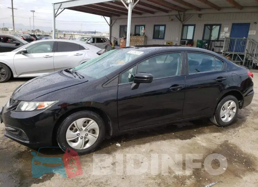19XFB2F55FE285264 Photo# 1