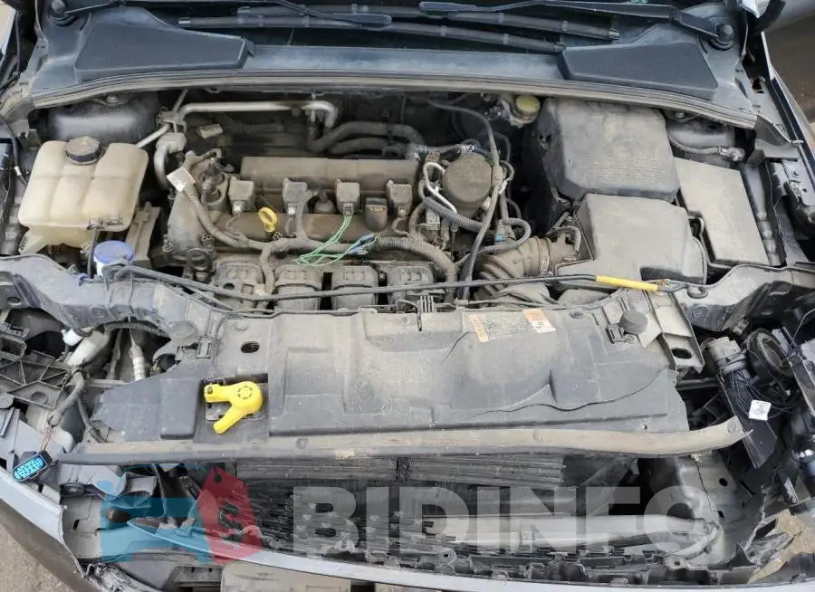 1FADP3E24GL253605 Photo# 11