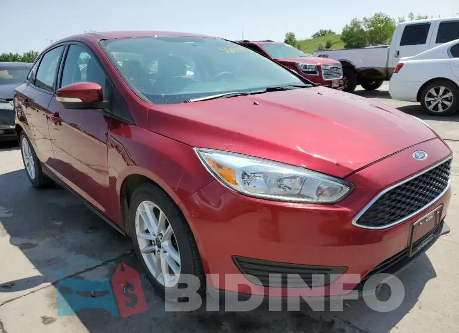 1FADP3F29GL253632 Photo# 4