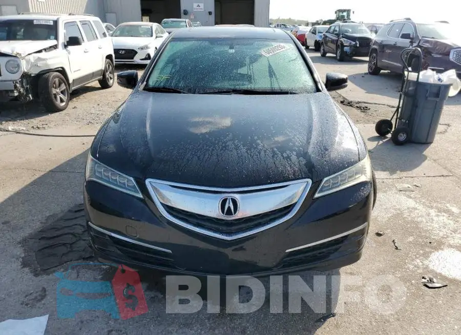 19UUB1F35GA011407 Photo# 5