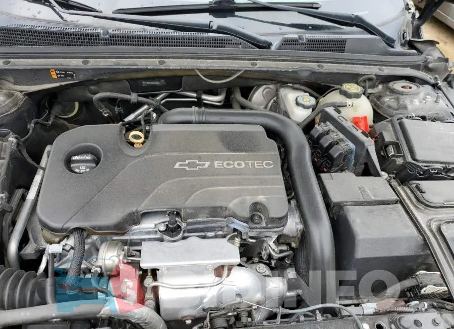 1G1ZB5ST5GF249223 Photo# 11