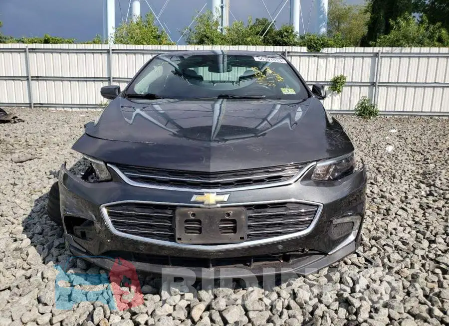 1G1ZF5SX4GF288568 Photo# 5
