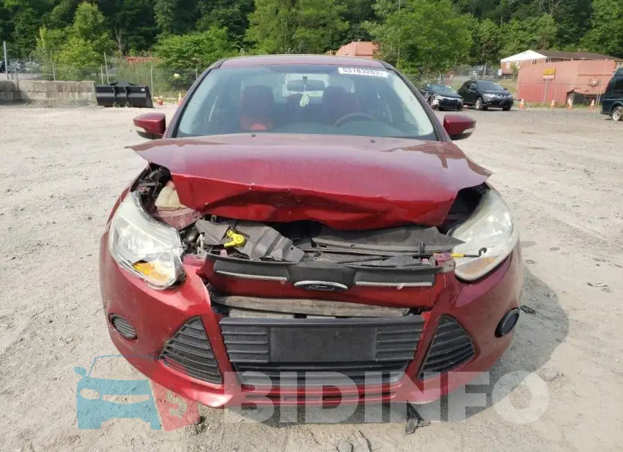 1FADP3F29EL253241 Photo# 5