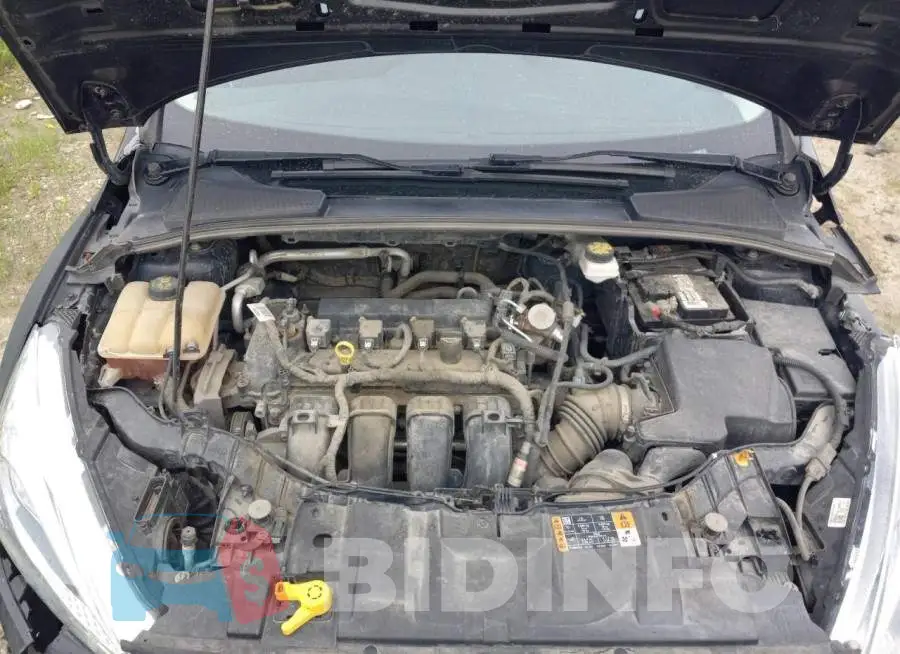1FADP3F29HL255561 Photo# 11