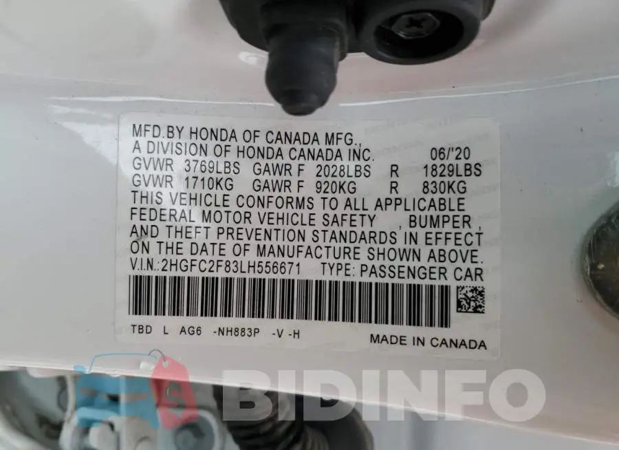 2HGFC2F83LH556671 Photo# 13