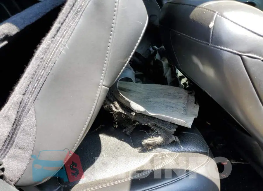 1C4PJLJB2GW298006 Photo# 11