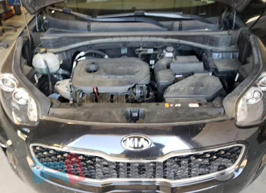 KNDPMCACXK7532752 Photo# 12