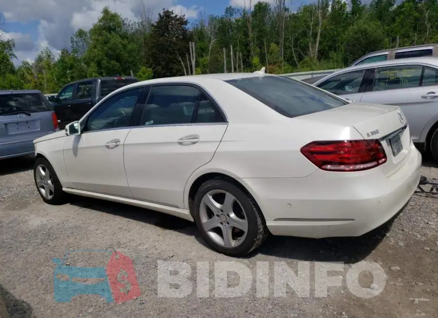 WDDHF8JB1FB079262 Photo# 2