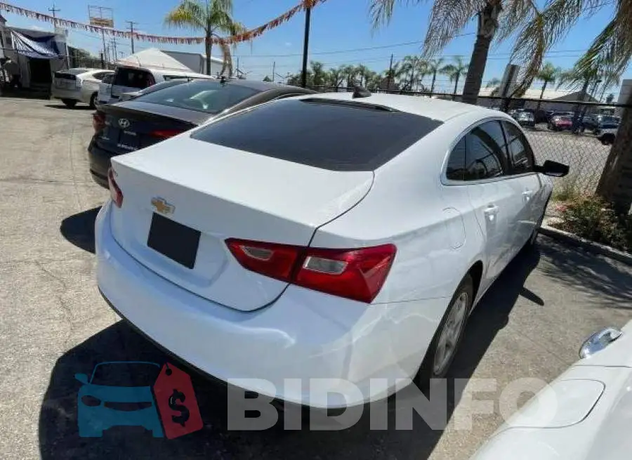 1G1ZB5ST5HF222086 Photo# 4