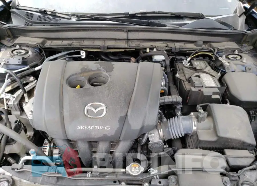 3MVDMBCL3MM220239 Photo# 12
