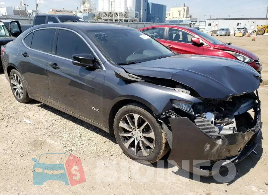 19UUB1F33FA015468 Photo# 4